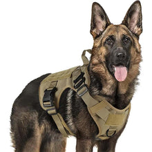 Hundsele i militärstil – anti-drag & extra kontroll