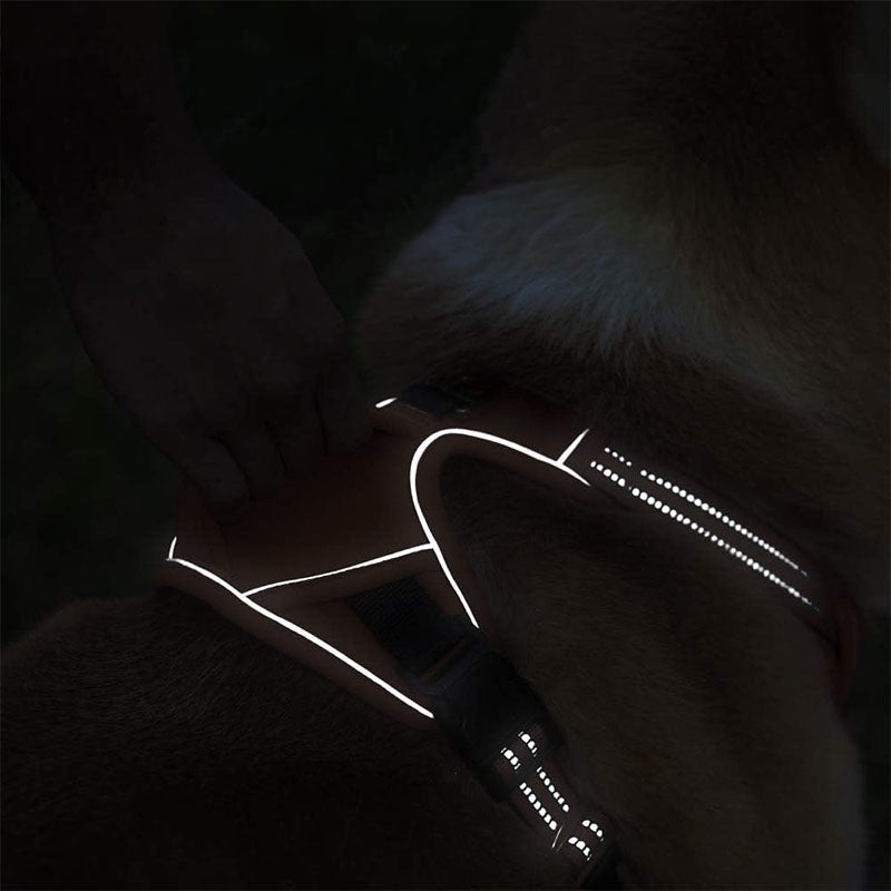 Hundsele med anti-drag funktion – justerbar & reflex