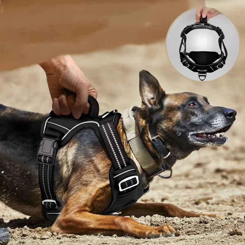 Hundsele med anti-drag funktion – justerbar & reflex