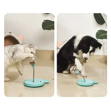 Interaktiv leksak med godisgömma för hund och katt