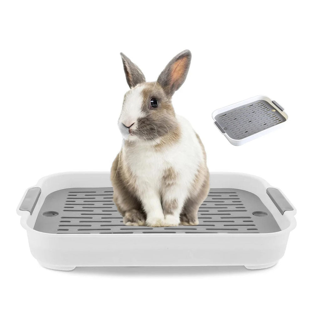 Kanin toalett för smådjur – lätt att rengöra