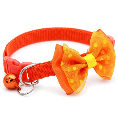 Katthalsband med rosett och bjällra Orange
