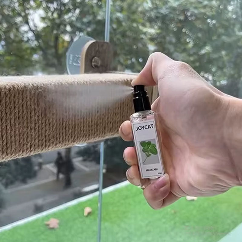 Kattmyntaspray för katter - gallfrukt & katthälsa