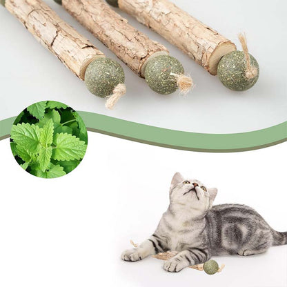 Kattmynta tuggleksak – rengör tänder & minskar stress