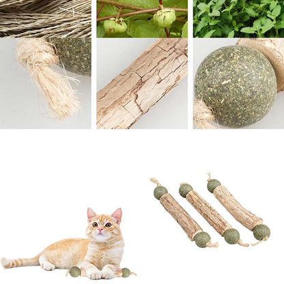 Kattmynta tuggleksak – rengör tänder & minskar stress