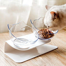 Kattskålar med ställ – ergonomisk & lutande matskål