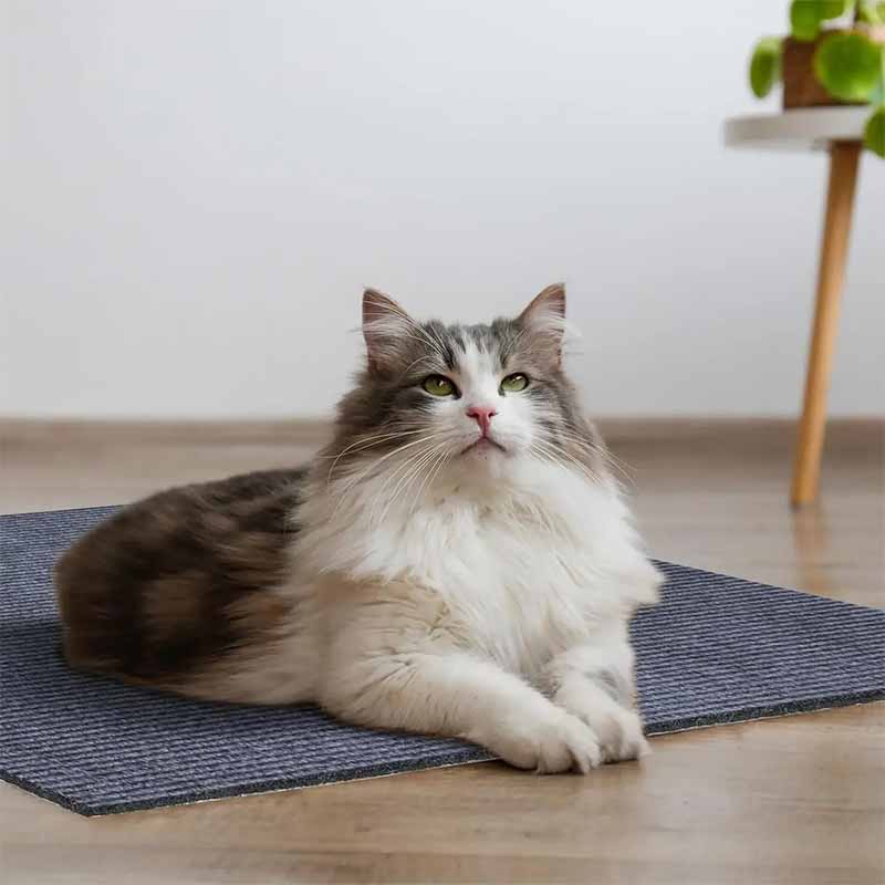 Klösskydd till soffa möbler - Självhäftande möbelskydd för katt