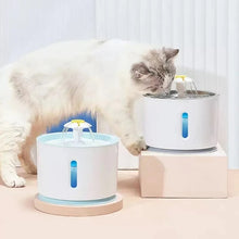 LED kattfontän med cirkulerande vatten – 2,4 liter