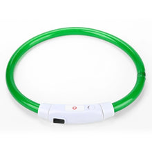 LED hundhalsband - laddningsbart & synligt i mörker Grön