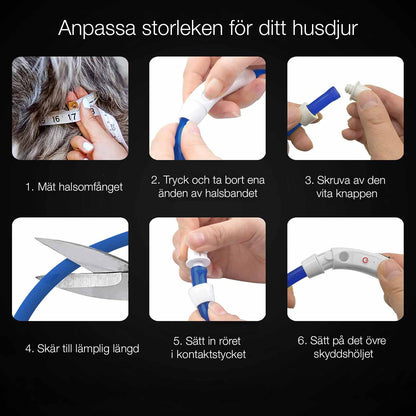 LED hundhalsband - laddningsbart & synligt i mörker