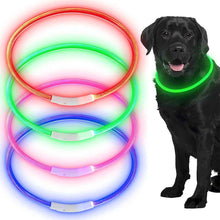 LED hundhalsband - laddningsbart & synligt i mörker