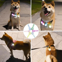 Lampa till hundhalsband - håll din hund synlig på kvällen