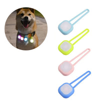 Lampa till hundhalsband - håll din hund synlig på kvällen