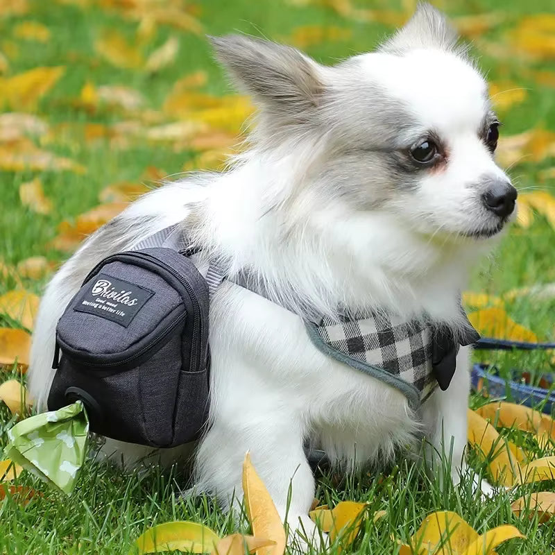 Hundgodisväska med fack & bajspåsehållare