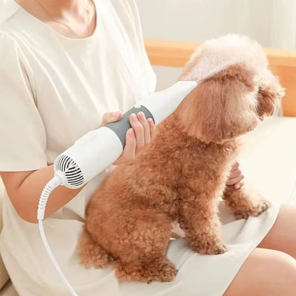 Pälsfön för hund och katt – torkar & vårdar pälsen