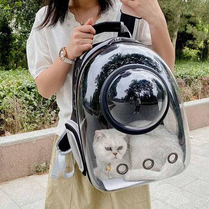 Ryggsäck för katt och hund – transparent transportväska