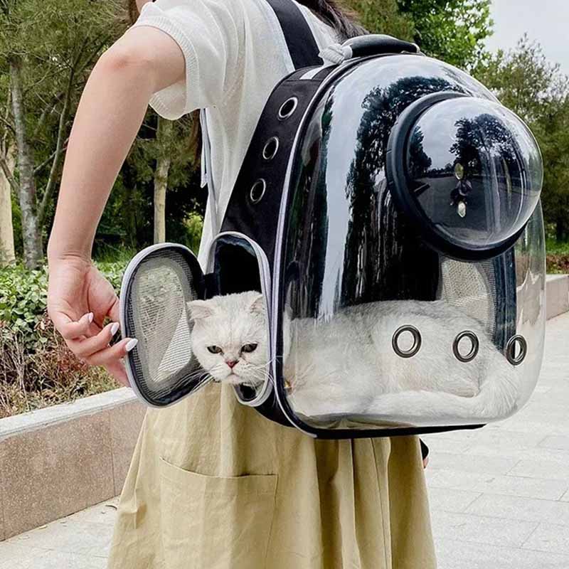 Ryggsäck för katt och hund – transparent transportväska
