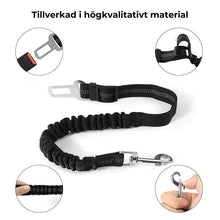 Säkerhetsbälte hund och katt - säker bilkörning med husdjur