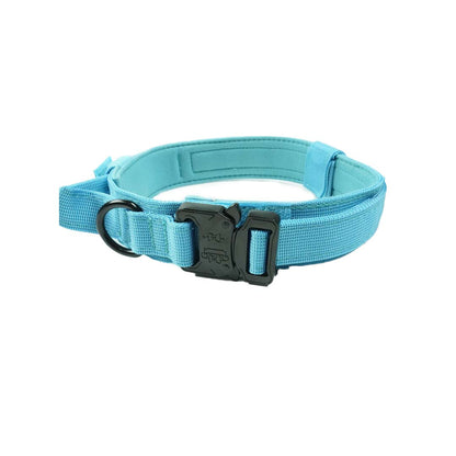 Slitstarkt hundhalsband Blå