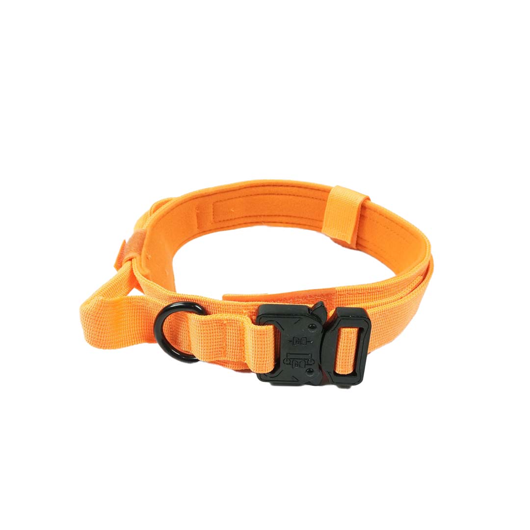Slitstarkt hundhalsband Orange