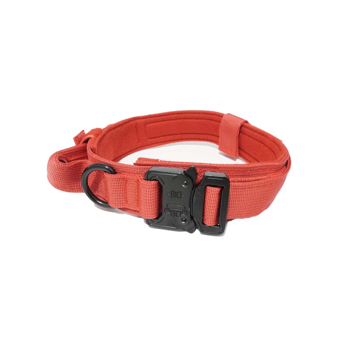 Slitstarkt hundhalsband Röd