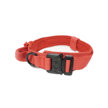 Slitstarkt hundhalsband Röd