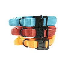 Slitstarkt hundhalsband