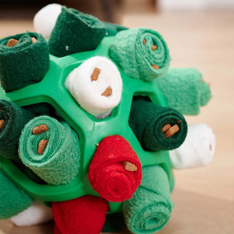 Snuffelboll för hund – aktivering & nosarbete