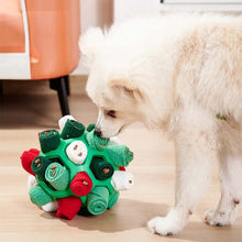 Snuffelboll för hund – aktivering & nosarbete