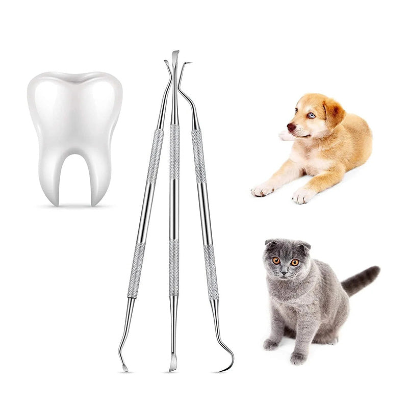 Tandvårdsset för hund och katt – ta bort tandsten enkelt
