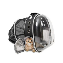 Transportväska för katt och hund – expanderbar och bekväm Svart