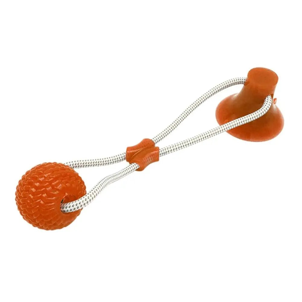 Tuggleksak hund med sugpropp – dragkamp och tandrengöring Orange