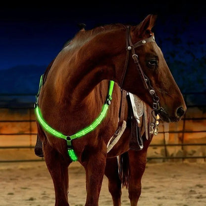 Hästbrösta med LED-ljus och justerbara remmar