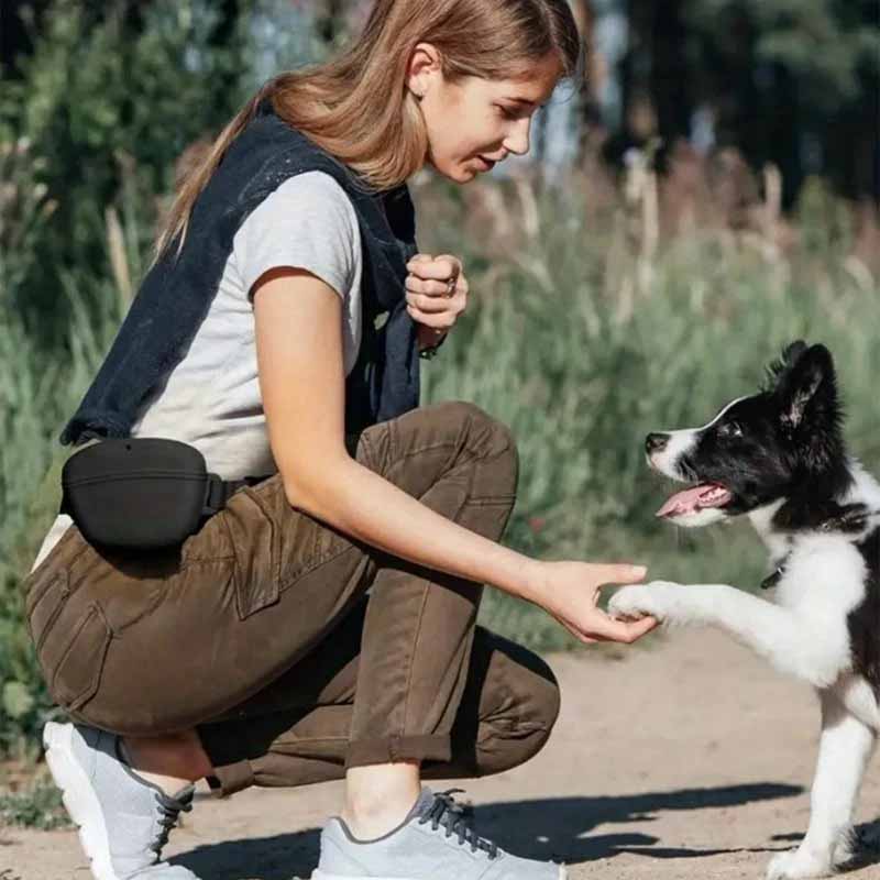 Hundgodisväska - praktisk för träning och promenad