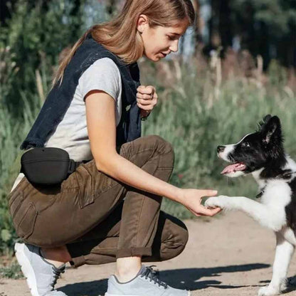 Hundgodisväska - praktisk för träning och promenad
