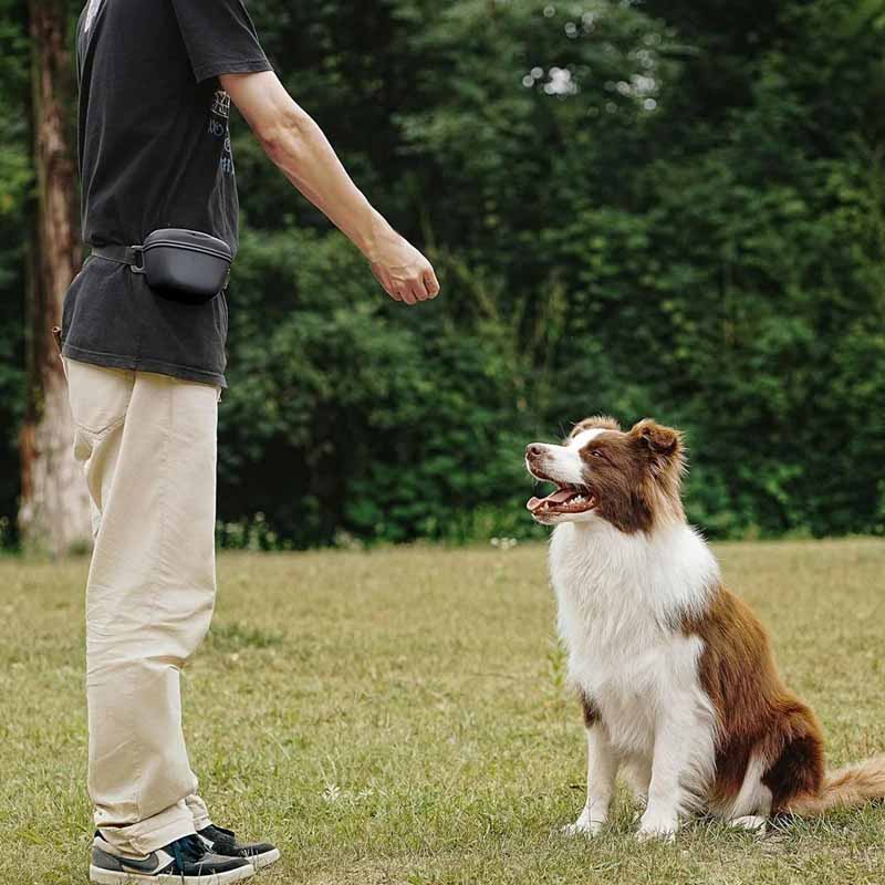 Hundgodisväska - praktisk för träning och promenad